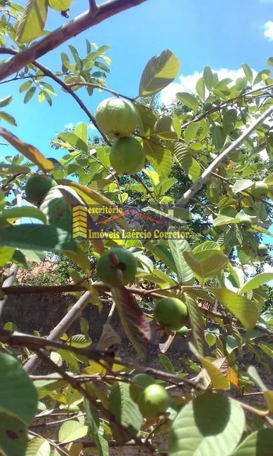 Foto 9 de Chácara com 3 quartos à venda, 233m2 em Paulinia - SP