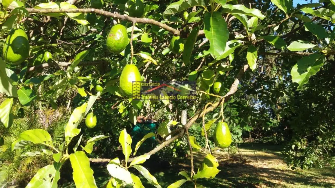 Chácara com 6 quartos à venda, 400m2 em Valinhos - SP - imagem 8 Foto 8 de Chácara com 6 quartos à venda, 400m2 em Valinhos - SP