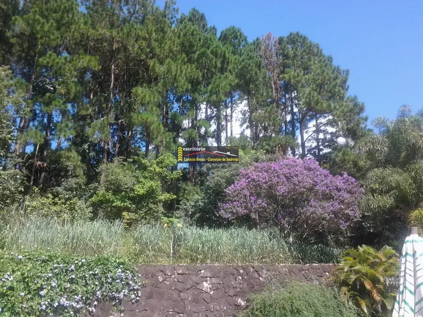 Chácara com 5 quartos à venda, 500m2 em Valinhos - SP - imagem 6 Foto 6 de Chácara com 5 quartos à venda, 500m2 em Valinhos - SP