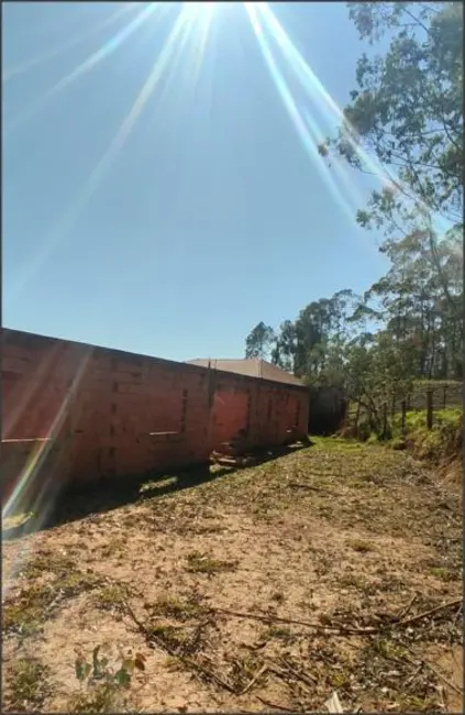 Foto 4 de Chácara com 5 quartos à venda, 180m2 em Munhoz - MG