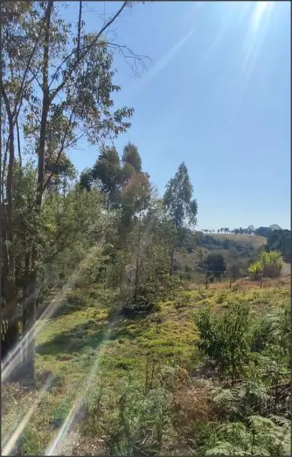 Foto 2 de Chácara com 5 quartos à venda, 180m2 em Munhoz - MG