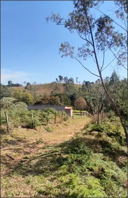 Foto 3 de Chácara com 5 quartos à venda, 180m2 em Munhoz - MG