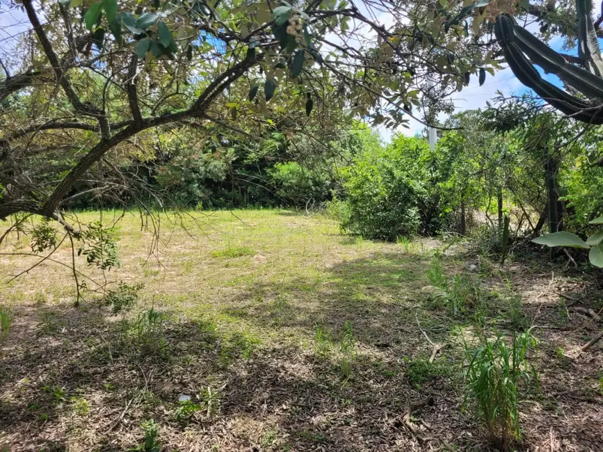 Foto 6 de Terreno / Lote à venda em Valinhos - SP