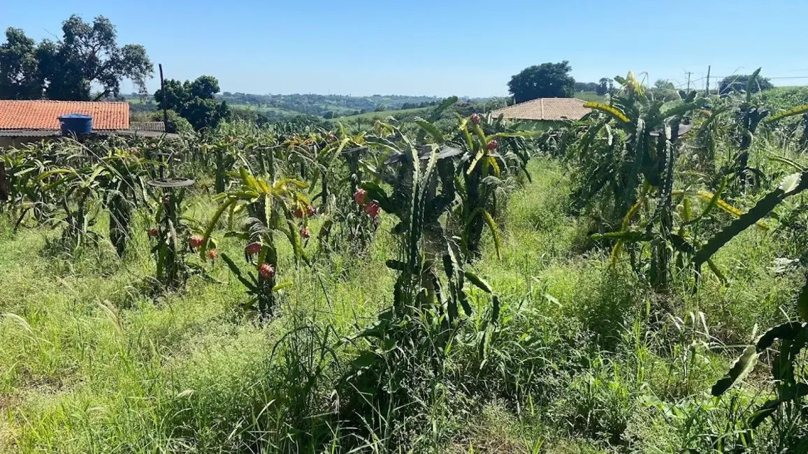 Sítio / Rancho com 3 quartos à venda em Valinhos - SP - imagem 5 Foto 5 de Sítio / Rancho com 3 quartos à venda em Valinhos - SP