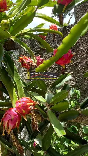 Casa com 3 quartos à venda, 374m2 em Tuiuti - SP - imagem 3 Foto 3 de Casa com 3 quartos à venda, 374m2 em Tuiuti - SP