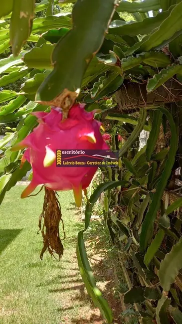 Casa com 3 quartos à venda, 374m2 em Tuiuti - SP - imagem 5 Foto 5 de Casa com 3 quartos à venda, 374m2 em Tuiuti - SP