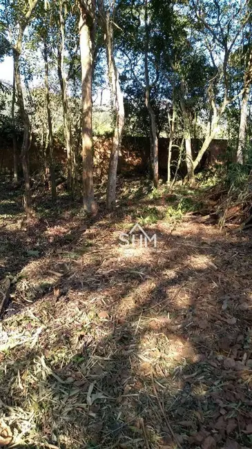 Terreno / Lote à venda, 10007m2 em Ratones, Florianopolis - SC - imagem 5 Foto 5 de Terreno / Lote à venda, 10007m2 em Ratones, Florianopolis - SC