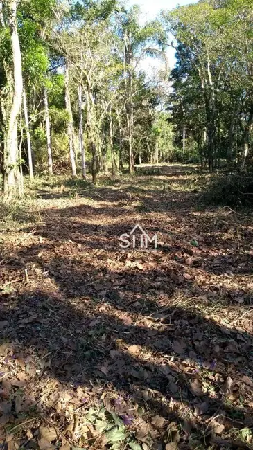 Terreno / Lote à venda, 10007m2 em Ratones, Florianopolis - SC - imagem 8 Foto 8 de Terreno / Lote à venda, 10007m2 em Ratones, Florianopolis - SC
