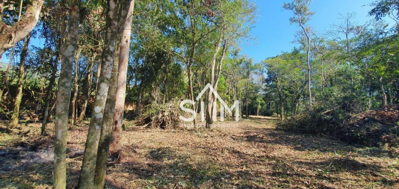 Terreno / Lote à venda, 10007m2 em Ratones, Florianopolis - SC - imagem 6 Foto 6 de Terreno / Lote à venda, 10007m2 em Ratones, Florianopolis - SC