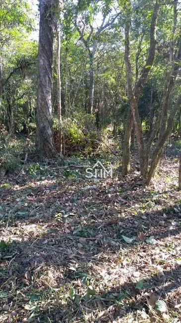 Terreno / Lote à venda, 10007m2 em Ratones, Florianopolis - SC - imagem 9 Foto 9 de Terreno / Lote à venda, 10007m2 em Ratones, Florianopolis - SC