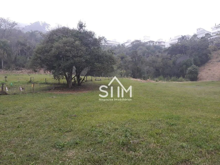 Terreno / Lote à venda, 44952m2 em Córrego Grande, Florianopolis - SC - imagem 7 Foto 7 de Terreno / Lote à venda, 44952m2 em Córrego Grande, Florianopolis - SC
