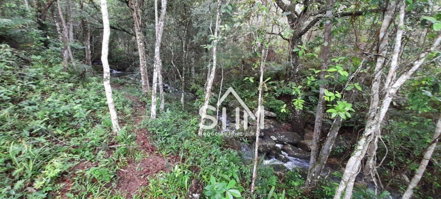 Chácara à venda, 70000m2 em Santo Antônio de Lisboa, Florianopolis - SC - imagem 9 Foto 9 de Chácara à venda, 70000m2 em Santo Antônio de Lisboa, Florianopolis - SC