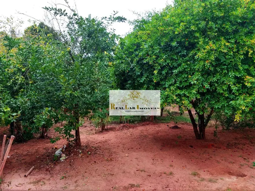 Chácara com 3 quartos à venda, 1000m2 em Sarapui - SP - imagem 5 Foto 5 de Chácara com 3 quartos à venda, 1000m2 em Sarapui - SP