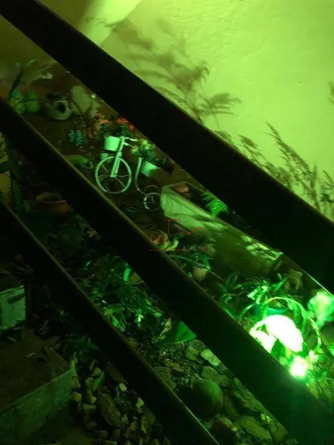 Foto 5 de Casa de Condomínio com 3 quartos à venda, 1000m2 em Pendotiba, Niteroi - RJ