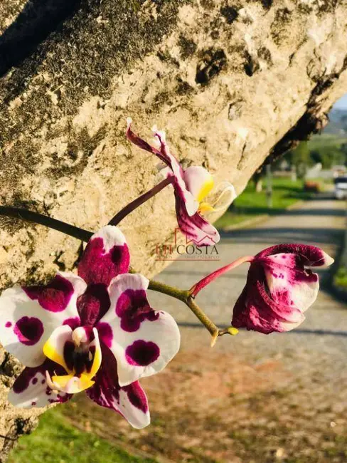 Foto 9 de Terreno / Lote à venda, 408m2 em Ubatiba, Marica - RJ