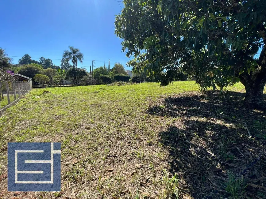 Foto 4 de Terreno / Lote à venda, 1207m2 em Socorro - SP