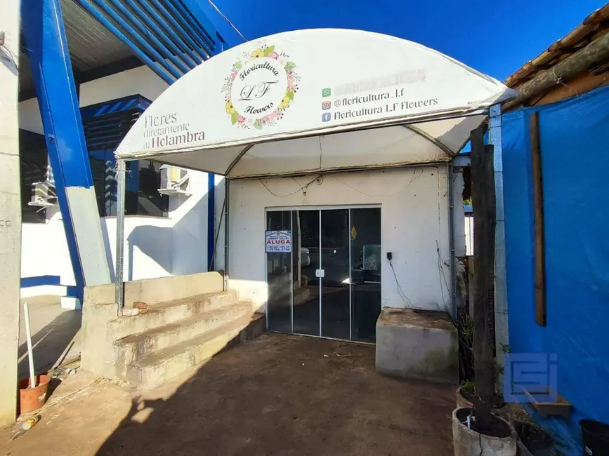 Foto 1 de Sala Comercial para alugar em Socorro - SP