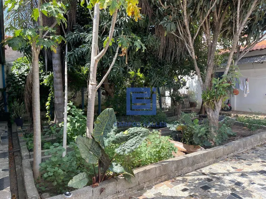 Foto 3 de Casa com 3 quartos à venda, 367m2 em Socorro - SP