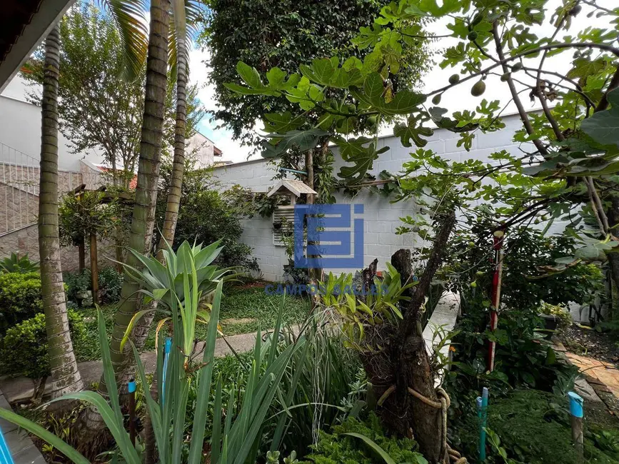 Foto 9 de Casa com 3 quartos à venda, 300m2 em Socorro - SP
