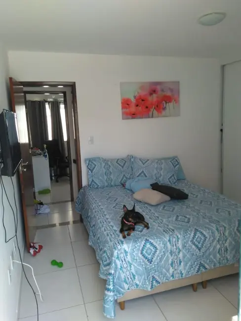 Casa com 2 quartos à venda em Lauro De Freitas - BA - imagem 7 Foto 7 de Casa com 2 quartos à venda em Lauro De Freitas - BA