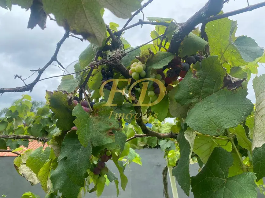 Foto 3 de Chácara com 4 quartos à venda, 4680m2 em Chácaras Fernão Dias, Atibaia - SP