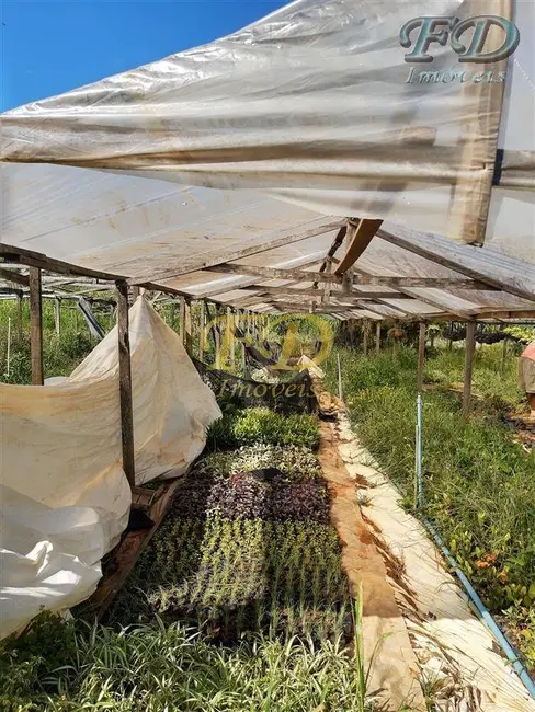 Foto 8 de Sítio / Rancho à venda, 75000m2 em Tanque, Atibaia - SP