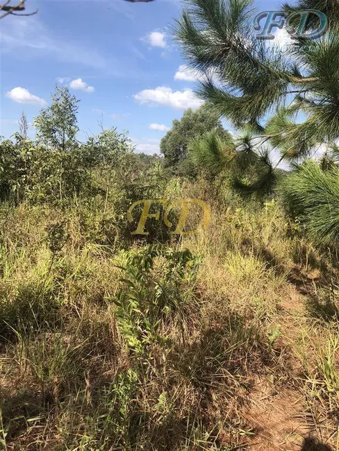 Foto 3 de Terreno / Lote à venda, 61000m2 em Mairipora - SP