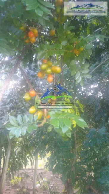 Foto 8 de Sítio / Rancho com 2 quartos à venda, 29000m2 em Bairro do Agudo, Braganca Paulista - SP