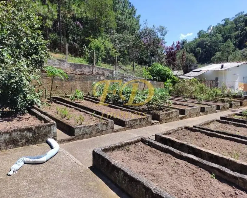 Sítio / Rancho com 3 quartos à venda, 100000m2 em Nazare Paulista - SP - imagem 5 Foto 5 de Sítio / Rancho com 3 quartos à venda, 100000m2 em Nazare Paulista - SP