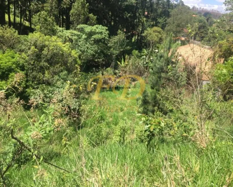 Foto 8 de Chácara com 3 quartos à venda, 100m2 em Mairipora - SP