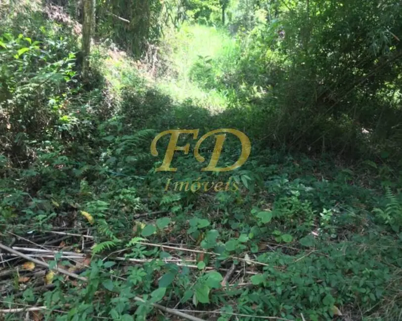 Foto 7 de Chácara com 3 quartos à venda, 100m2 em Mairipora - SP