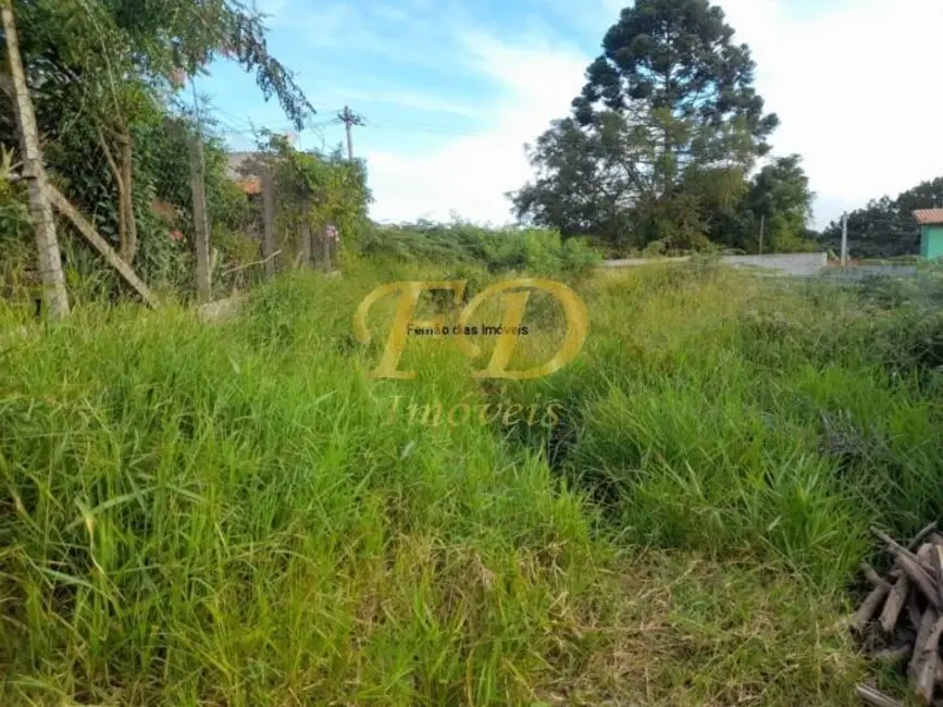 Foto 3 de Terreno / Lote à venda, 290m2 em Mairipora - SP