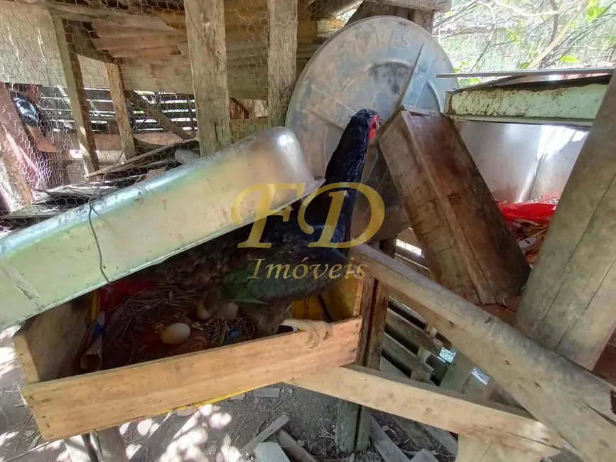 Foto 7 de Chácara com 2 quartos à venda, 1100m2 em Nazare Paulista - SP