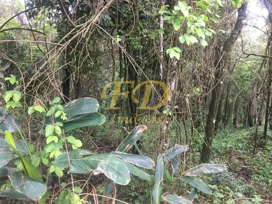 Foto 8 de Terreno / Lote à venda, 2000m2 em Mairipora - SP