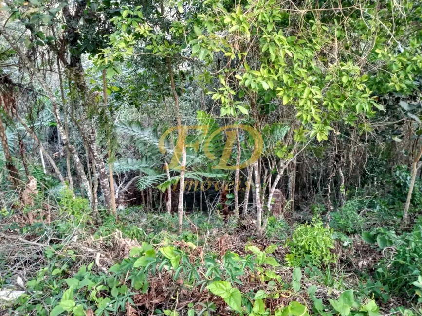 Foto 5 de Lote de Condomínio à venda, 1000m2 em Mairipora - SP