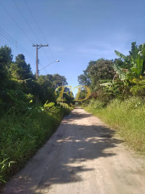 Foto 8 de Casa com 3 quartos à venda, 600m2 em Iguape - SP