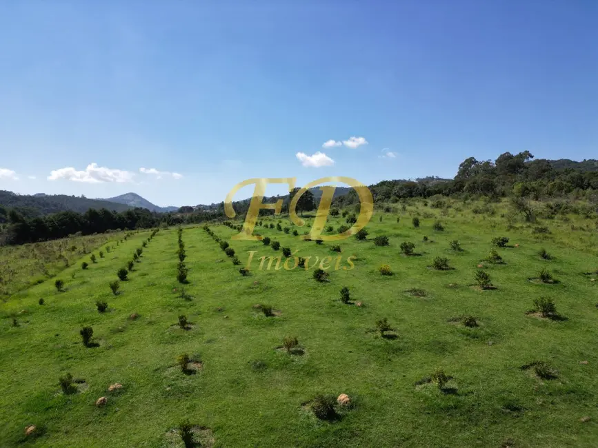 Foto 7 de Sala Comercial à venda, 220000m2 em Mairipora - SP