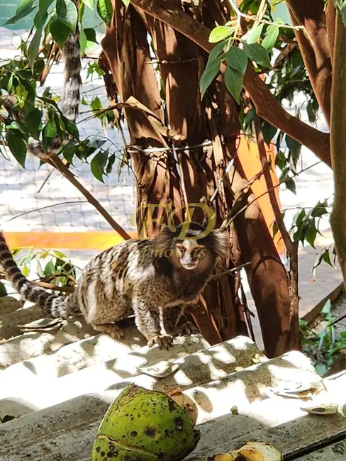 Casa de Condomínio com 5 quartos à venda, 1150m2 em Mairipora - SP - imagem 5 Foto 5 de Casa de Condomínio com 5 quartos à venda, 1150m2 em Mairipora - SP