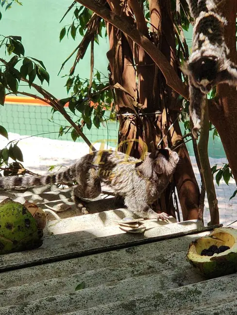 Casa de Condomínio com 5 quartos à venda, 1150m2 em Mairipora - SP - imagem 7 Foto 7 de Casa de Condomínio com 5 quartos à venda, 1150m2 em Mairipora - SP