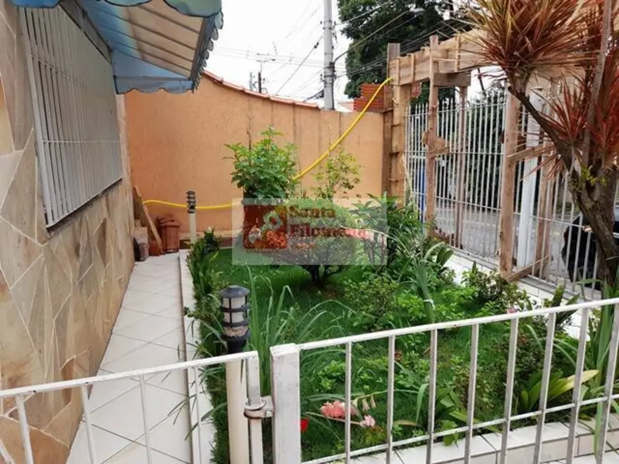 Foto 3 de Terreno / Lote à venda, 250m2 em Jardim das Maravilhas, Santo Andre - SP