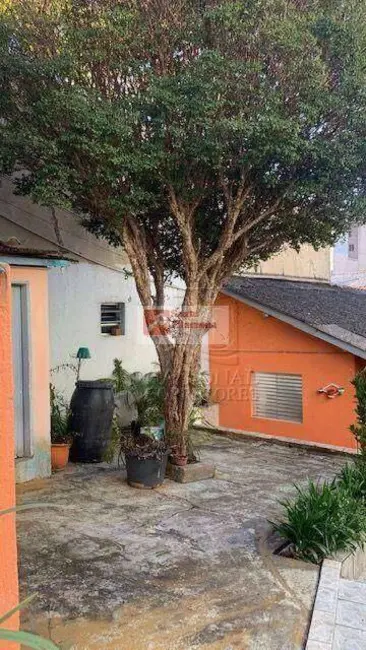 Foto 3 de Terreno / Lote à venda, 300m2 em Jardim das Maravilhas, Santo Andre - SP