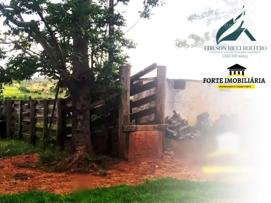 Sítio / Rancho à venda em Presidente Epitacio - SP - imagem 9 Foto 9 de Sítio / Rancho à venda em Presidente Epitacio - SP