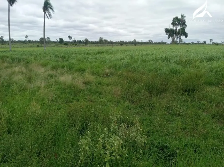 Foto 4 de Fazenda / Haras à venda em Porto Murtinho - MS