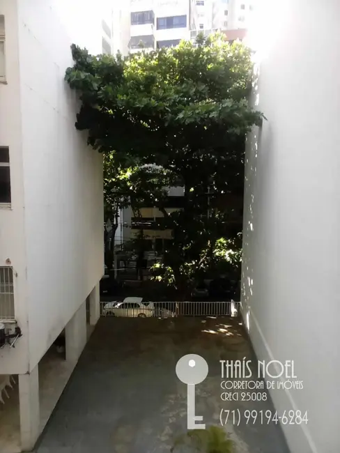 Apartamento com 4 quartos à venda, 213m2 em Barra, Salvador - BA - imagem 4 Foto 4 de Apartamento com 4 quartos à venda, 213m2 em Barra, Salvador - BA