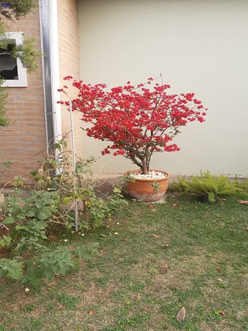 Foto 2 de Casa de Condomínio com 3 quartos à venda, 78m2 em Piracangaguá, Taubate - SP