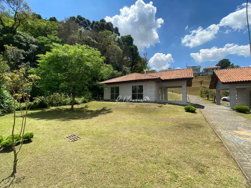 Foto 14 de Terreno / Lote à venda, 225m2 em Braga, Sao Jose Dos Pinhais - PR