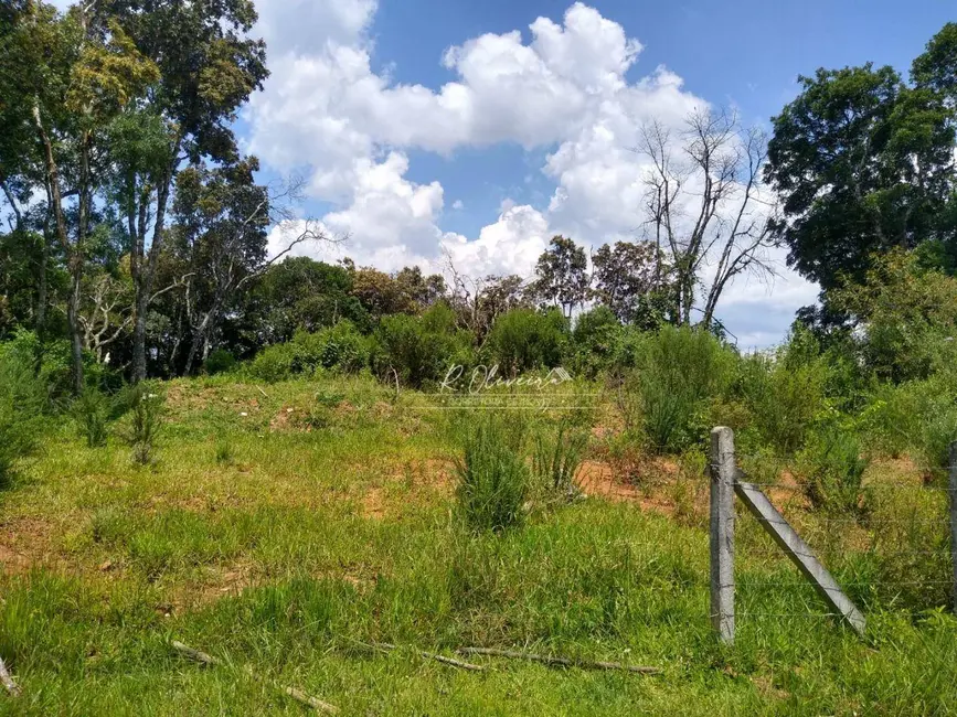 Foto 3 de Terreno / Lote à venda, 5549m2 em Sao Jose Dos Pinhais - PR