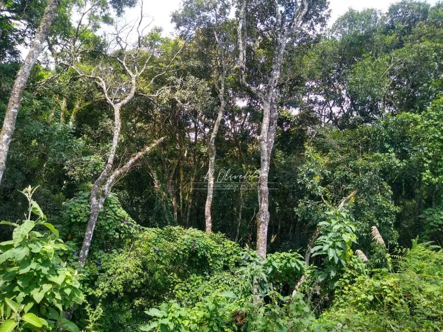 Foto 4 de Terreno / Lote à venda, 5549m2 em Sao Jose Dos Pinhais - PR