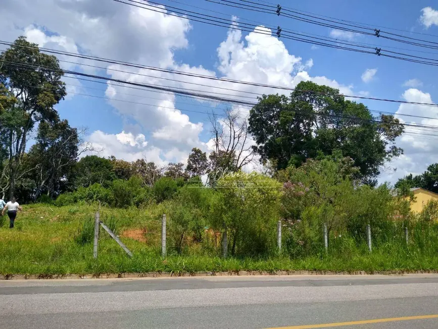 Foto 2 de Terreno / Lote à venda, 5549m2 em Sao Jose Dos Pinhais - PR