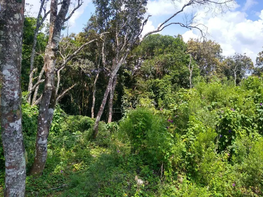 Foto 5 de Terreno / Lote à venda, 5549m2 em Sao Jose Dos Pinhais - PR